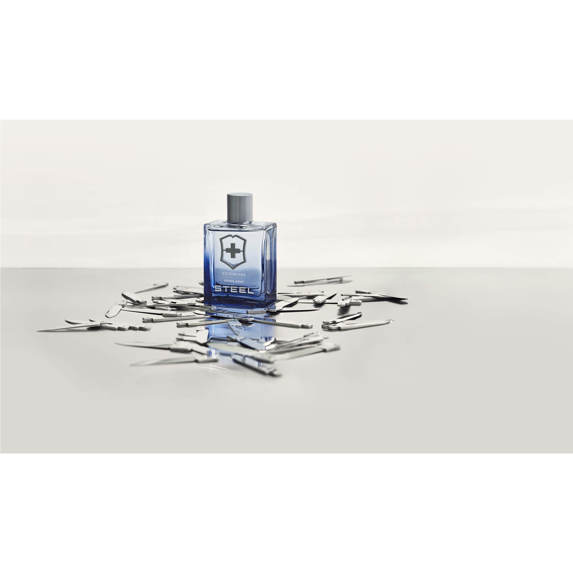 Foto 8 pulgar | Perfume Victorinox Swiss Army Steel Edt 100 Ml Para Hombre - Venta Internacional.
