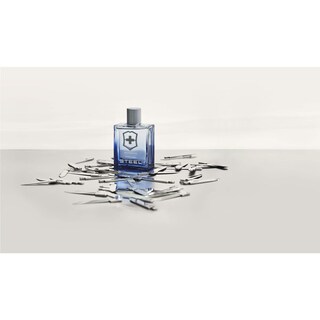Foto 7 | Perfume Victorinox Swiss Army Steel Edt 100 Ml Para Hombre - Venta Internacional.