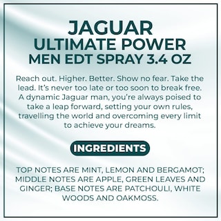 Foto 7 | Perfume Jaguar Ultimate Power Edt En Aerosol Para Hombre, 100 Ml - Venta Internacional.