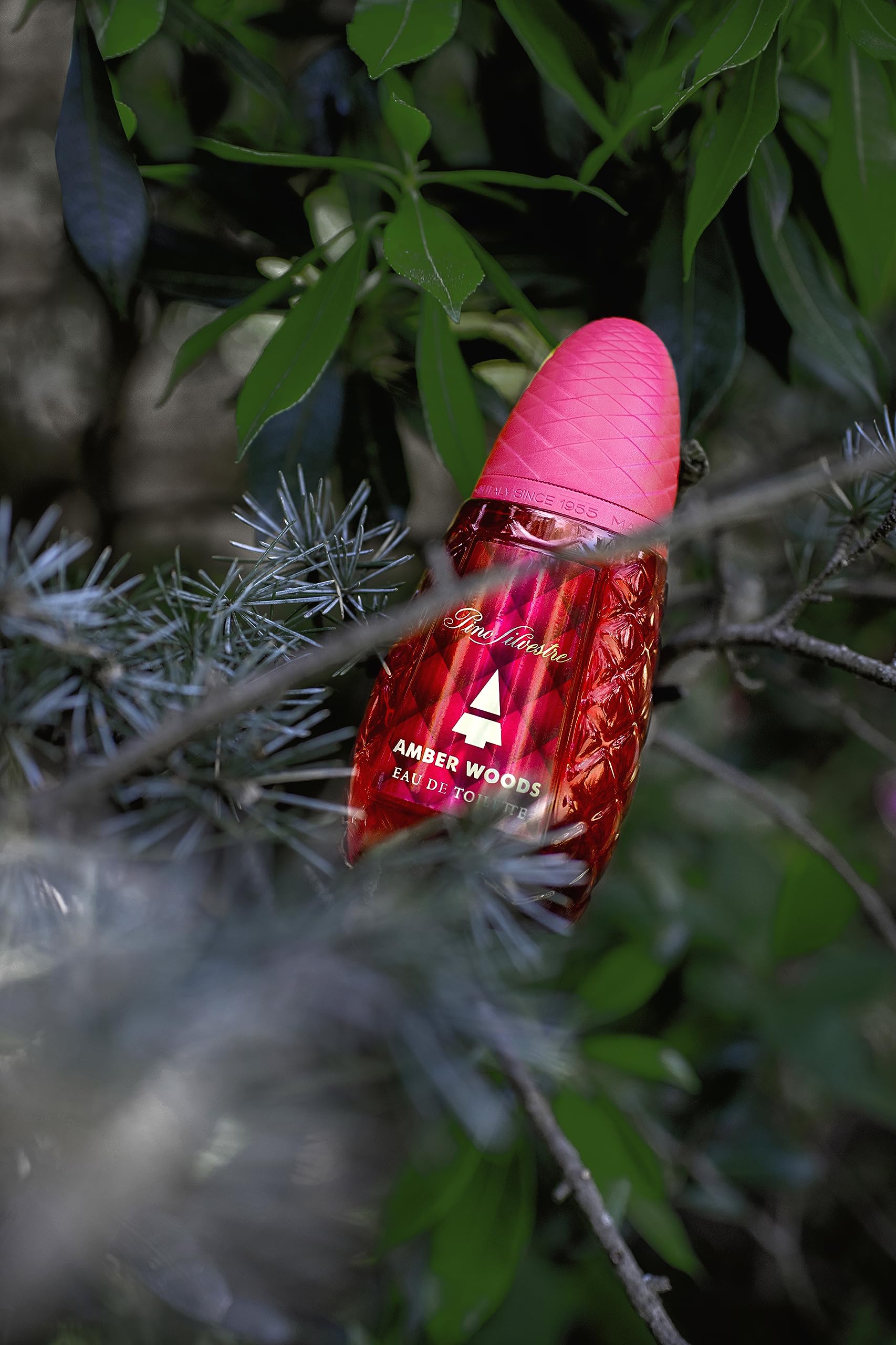 Foto 6 pulgar | Perfume Pino Silvestre Amber Woods Edt 125ml Para Hombre - Venta Internacional.