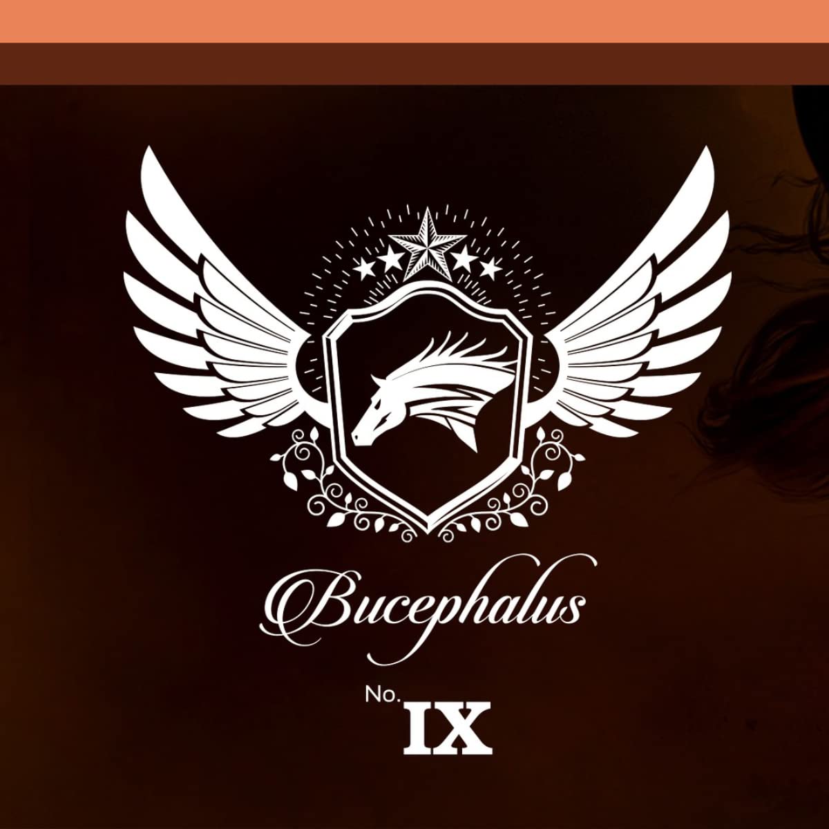 Foto 4 | Perfume Armaf Bucephalus Ix Eau De Parfum Para Hombre, 100 Ml - Venta Internacional.