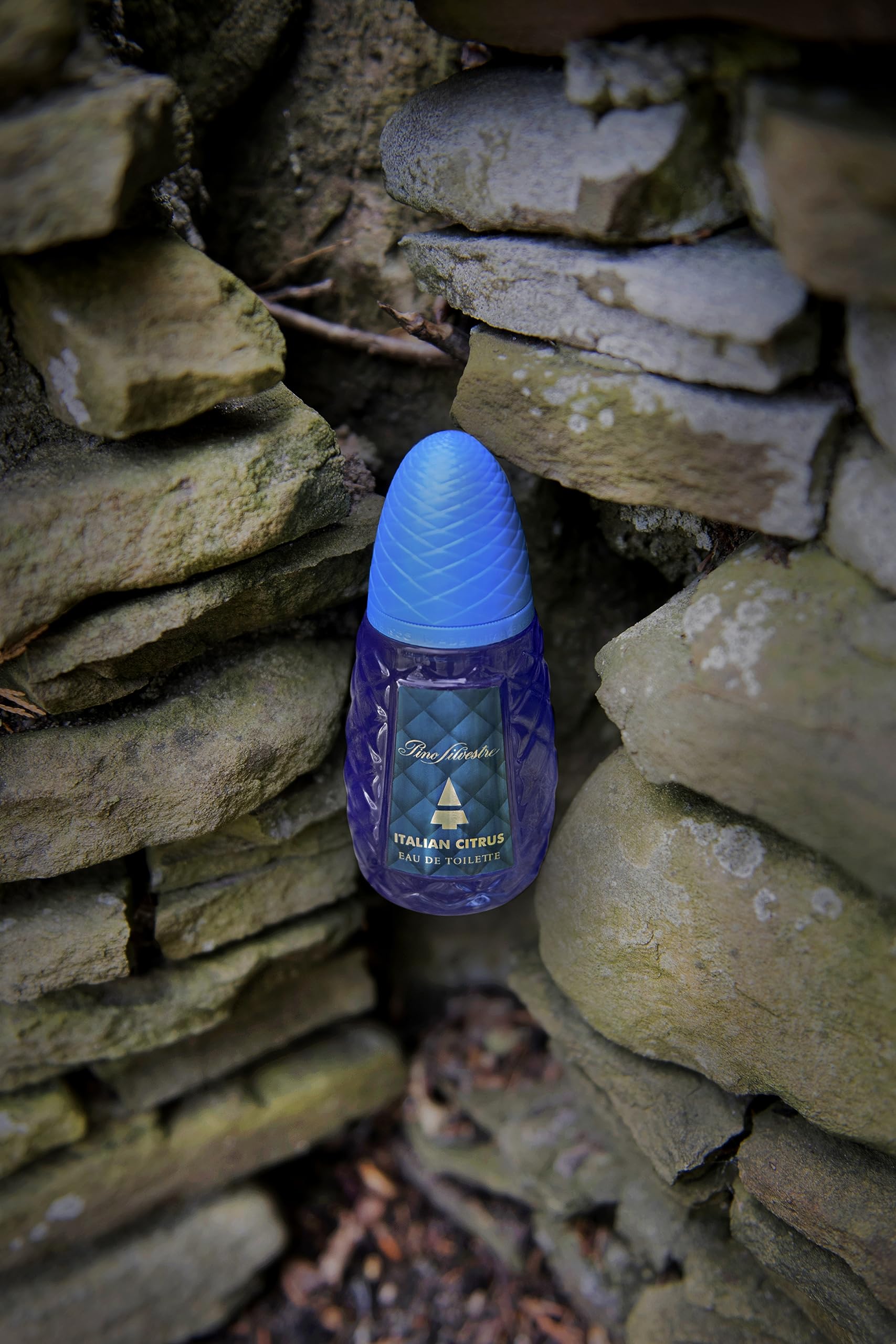 Foto 6 pulgar | Perfume Pino Silvestre Italiano, Cítrico Y Amaderado, 125 Ml - Venta Internacional.