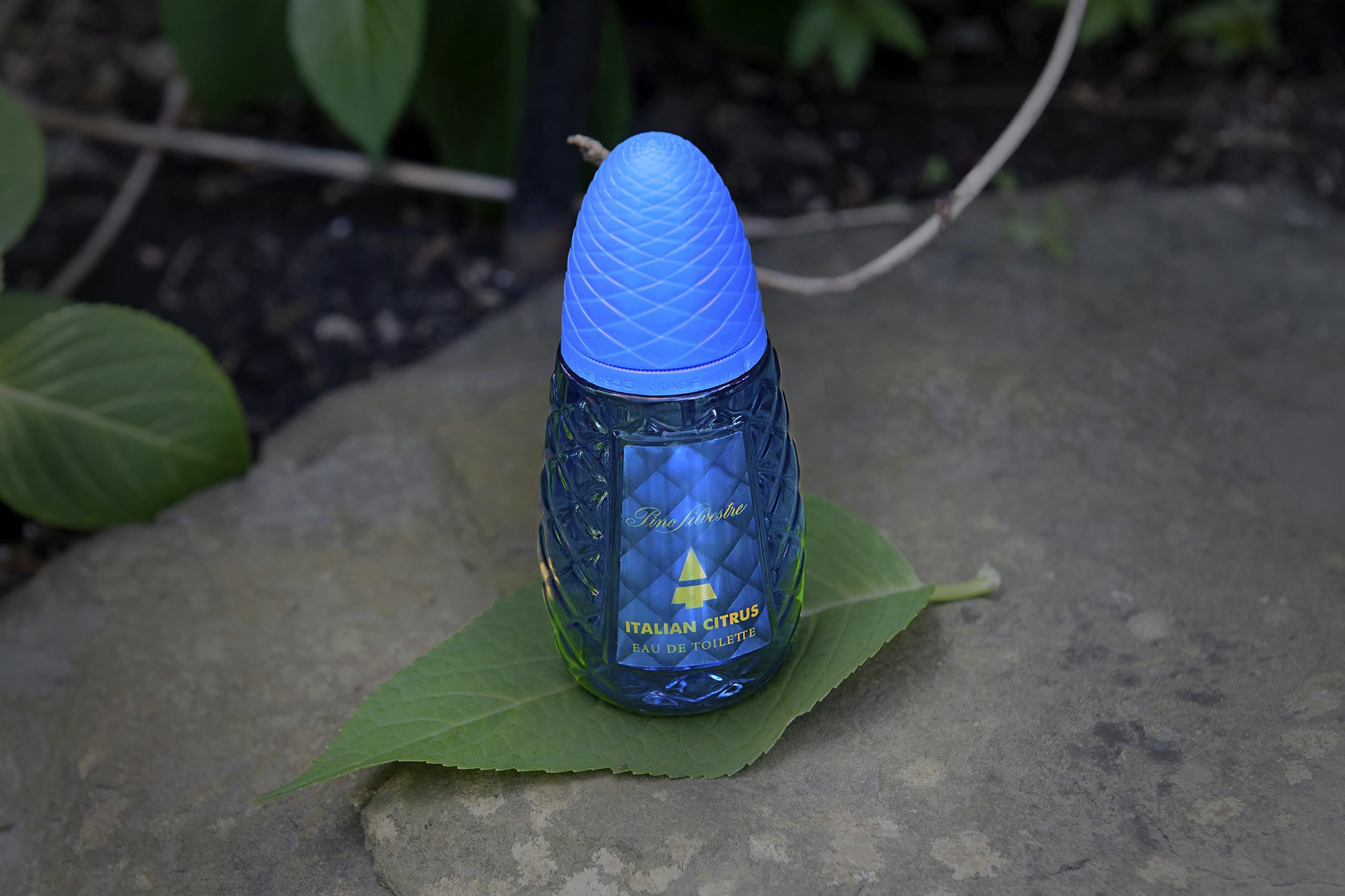 Foto 7 pulgar | Perfume Pino Silvestre Italiano, Cítrico Y Amaderado, 125 Ml - Venta Internacional.