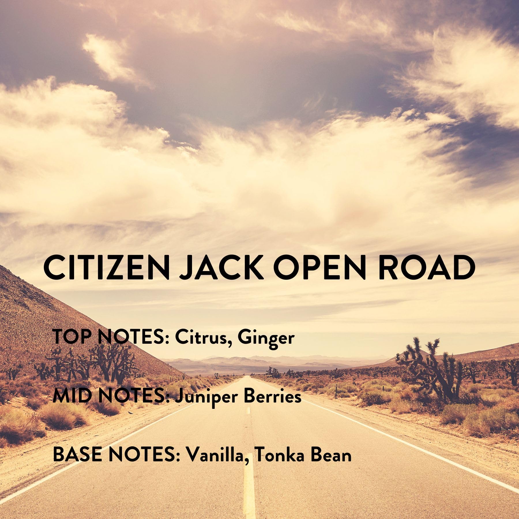 Foto 8 pulgar | Perfume Michael Malul Citizen Jack Open Road Eau De Parfum, 100 Ml - Venta Internacional.