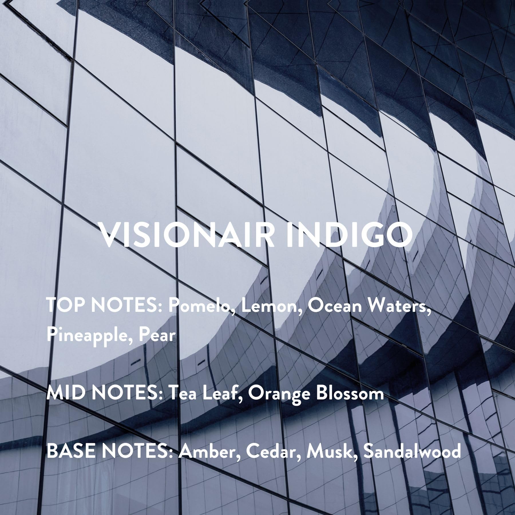 Foto 7 pulgar | Perfume Michael Malul Visionair Indigo Eau De Parfum 100 Ml - Venta Internacional.