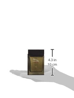 Foto 3 | Perfume Jaguar Vision Iii Eau De Toilette 100 Ml Para Hombre - Venta Internacional.