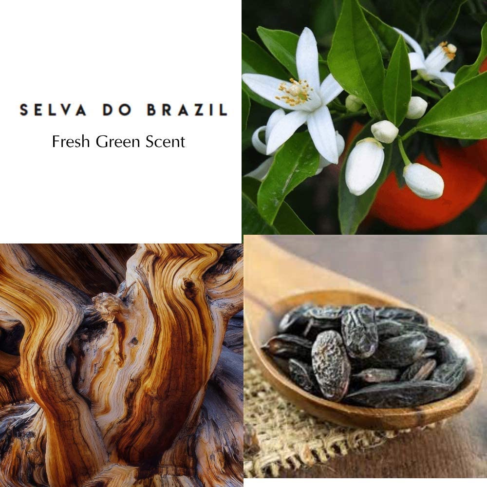 Foto 6 pulgar | Perfume Berdoues Selva Do Brasil Eau De Parfum, 100 Ml, Para Mujer Y Hombre - Venta Internacional.