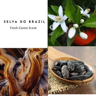 Foto 5 | Perfume Berdoues Selva Do Brasil Eau De Parfum, 100 Ml, Para Mujer Y Hombre - Venta Internacional.