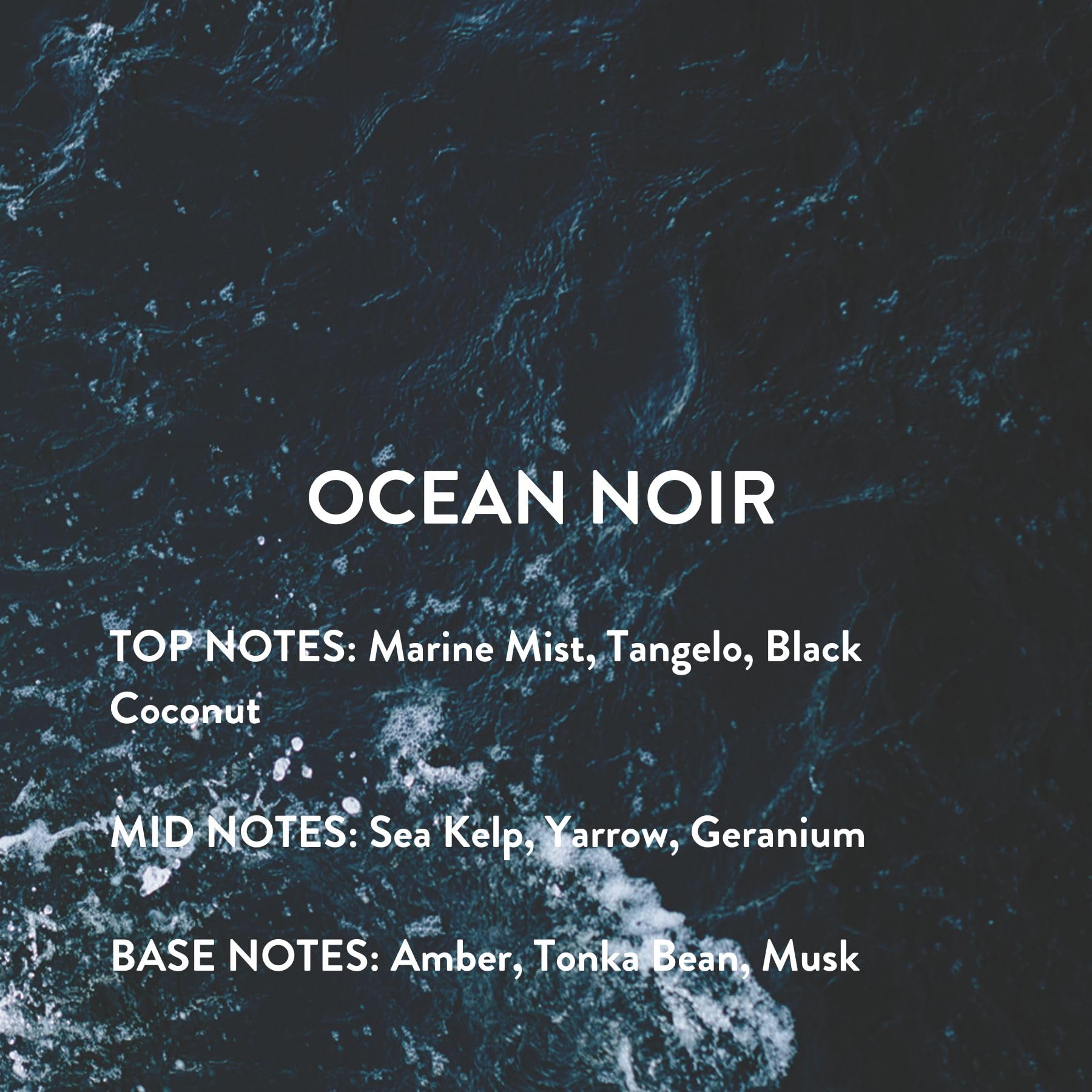 Foto 5 pulgar | Perfume Michael Malul Ocean Noir Eau De Parfum Para Hombre, 10 Ml - Venta Internacional.