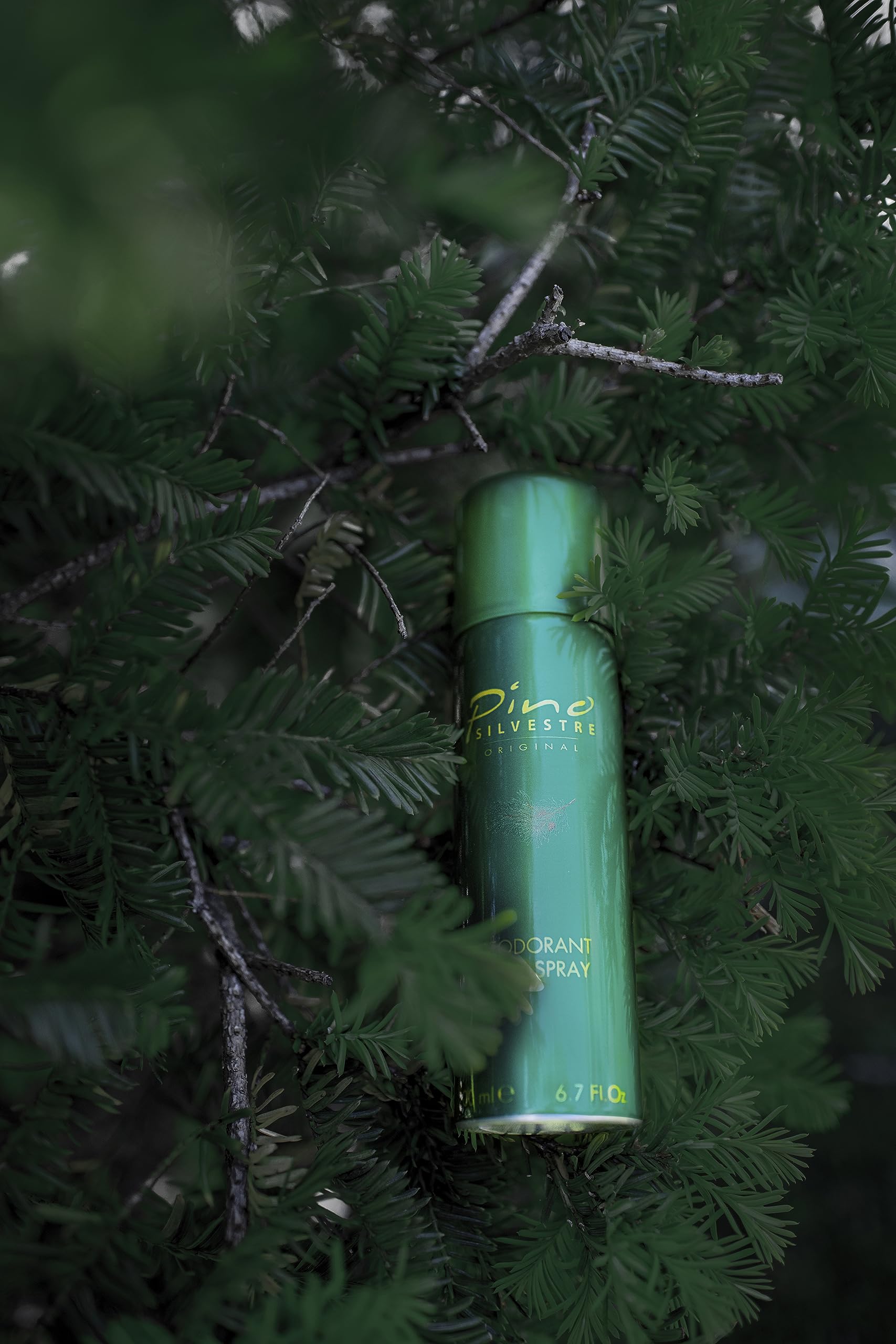 Foto 6 pulgar | Desodorante Corporal En Spray Pino Silvestre Para Hombre, 200 Ml - Venta Internacional.