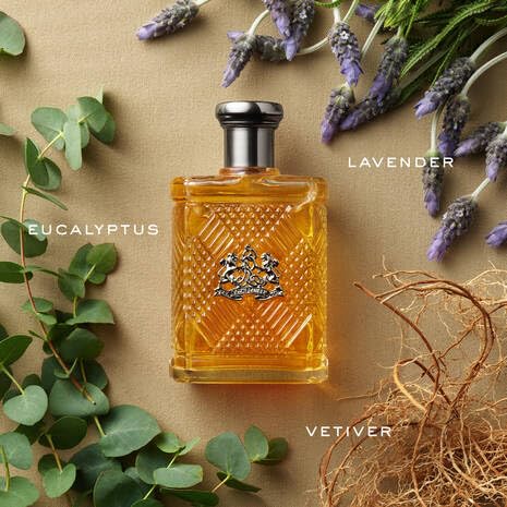 Foto 3 pulgar | Perfume Ralph Lauren Fragrances Safari Eau De Toilette 125 Ml - Venta Internacional.