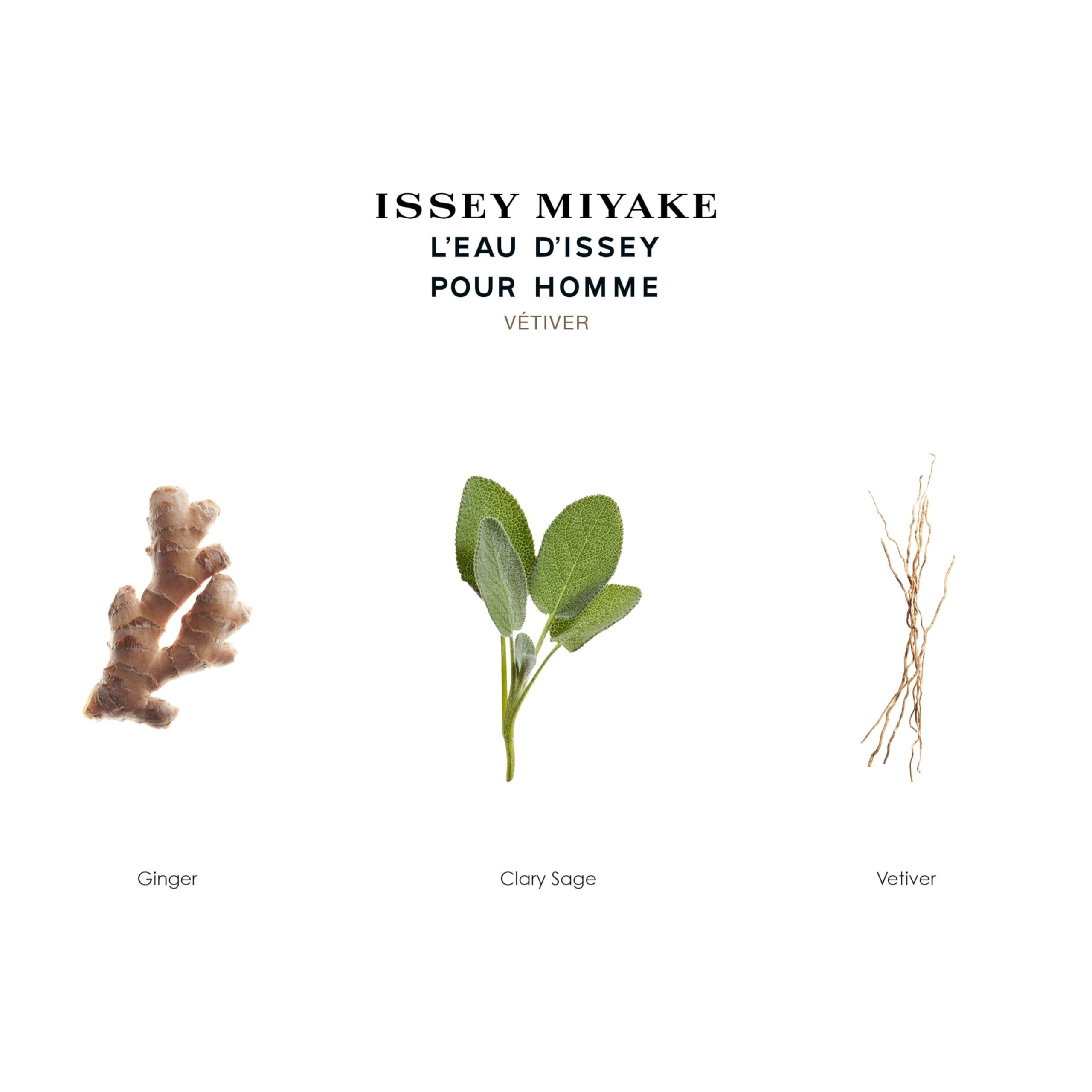 Foto 7 pulgar | Perfume Issey Miyake L'eau D'issey para Hombre Vetiver 100 Ml Edt - Venta Internacional
