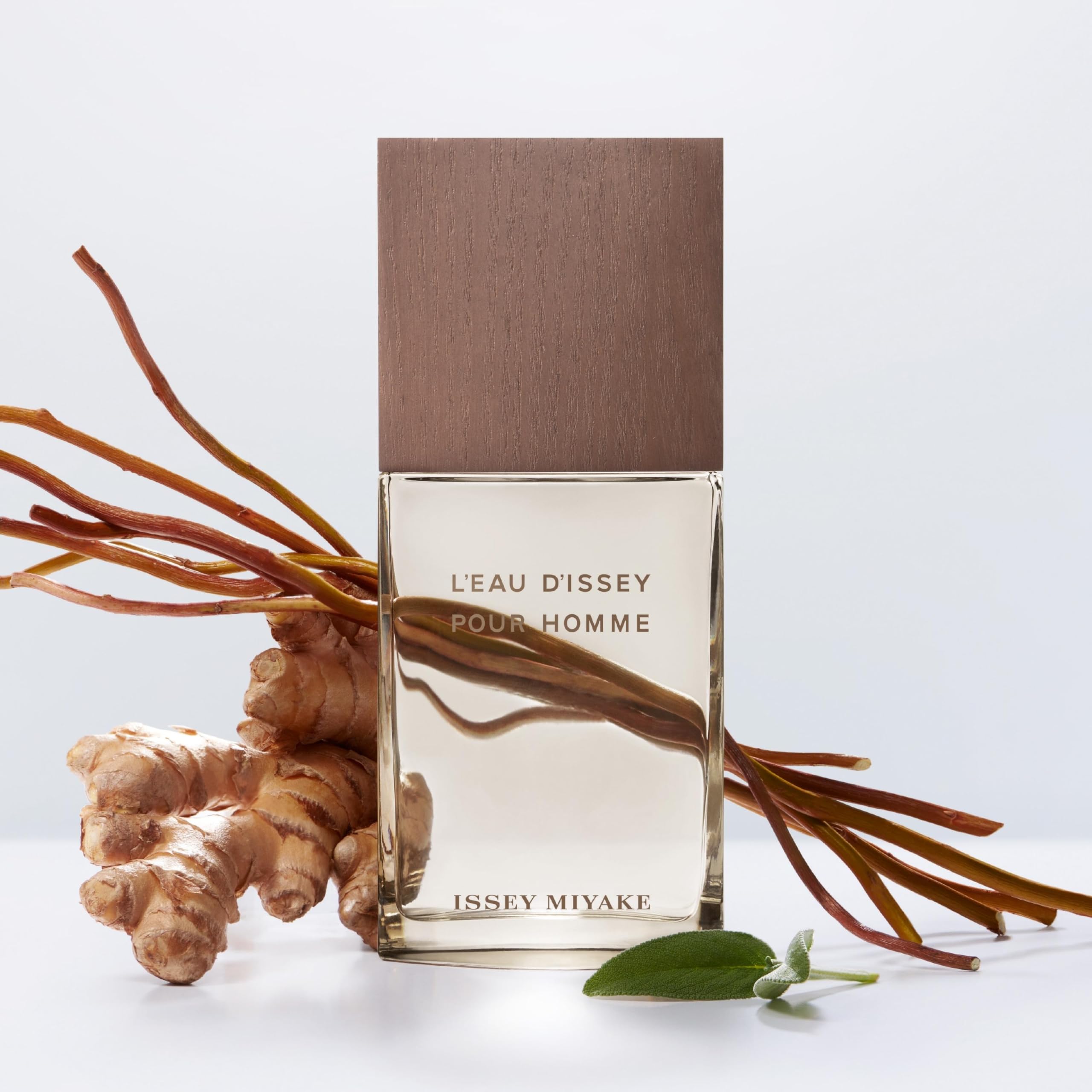 Foto 8 pulgar | Perfume Issey Miyake L'eau D'issey para Hombre Vetiver 100 Ml Edt - Venta Internacional