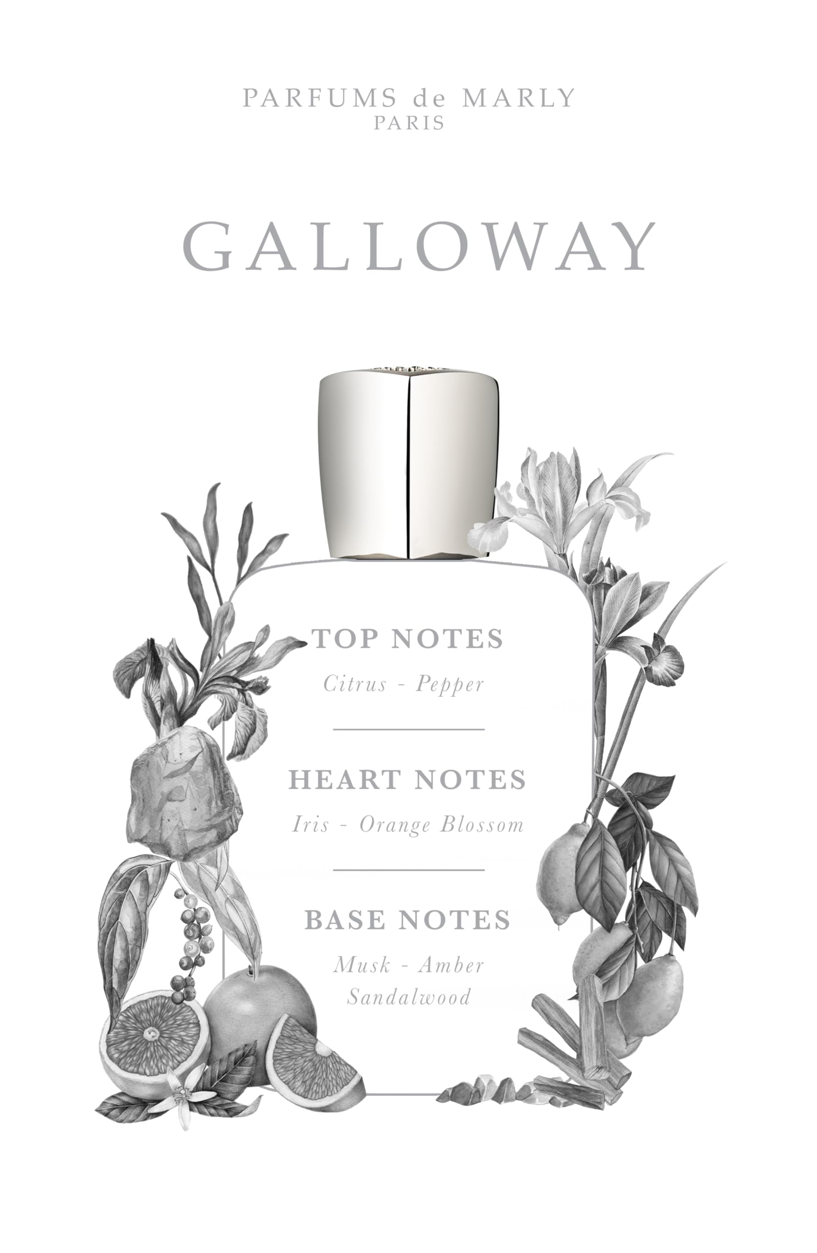 Foto 3 | Perfume Parfums De Marly Galloway Eau De Parfum 125 Ml Para Mí - Venta Internacional.