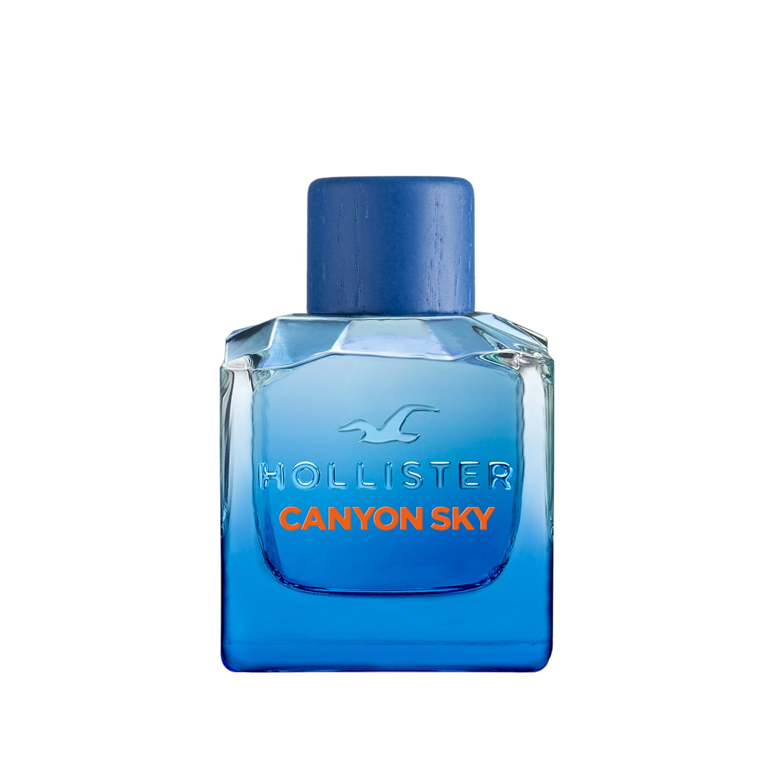 Perfume Hollister Canyon Sky Edt 100 Ml Para Hombre - Venta Internacional.