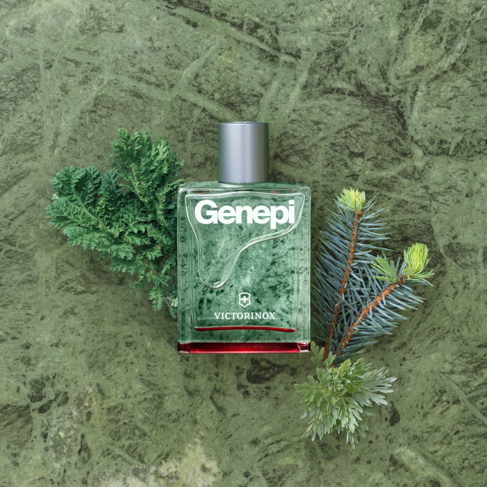 Foto 4 pulgar | Perfume Victorinox Swiss Army Genepi Edt 100 Ml Para Hombre - Venta Internacional.