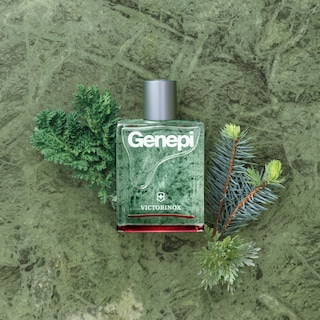 Foto 3 | Perfume Victorinox Swiss Army Genepi Edt 100 Ml Para Hombre - Venta Internacional.