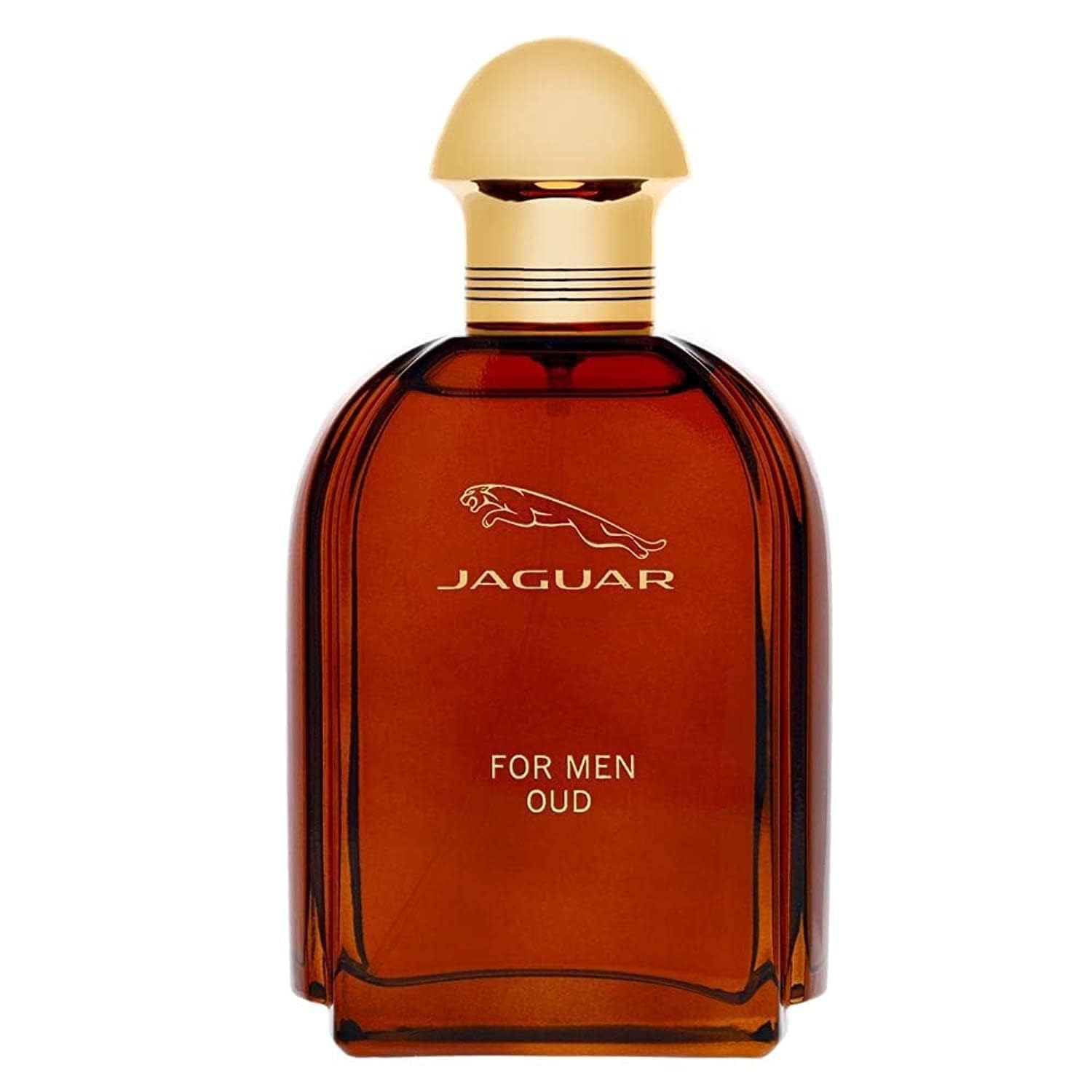 Foto 2 pulgar | Perfume Jaguar Oud Eau De Parfum 100 Ml Para Hombre - Venta Internacional.