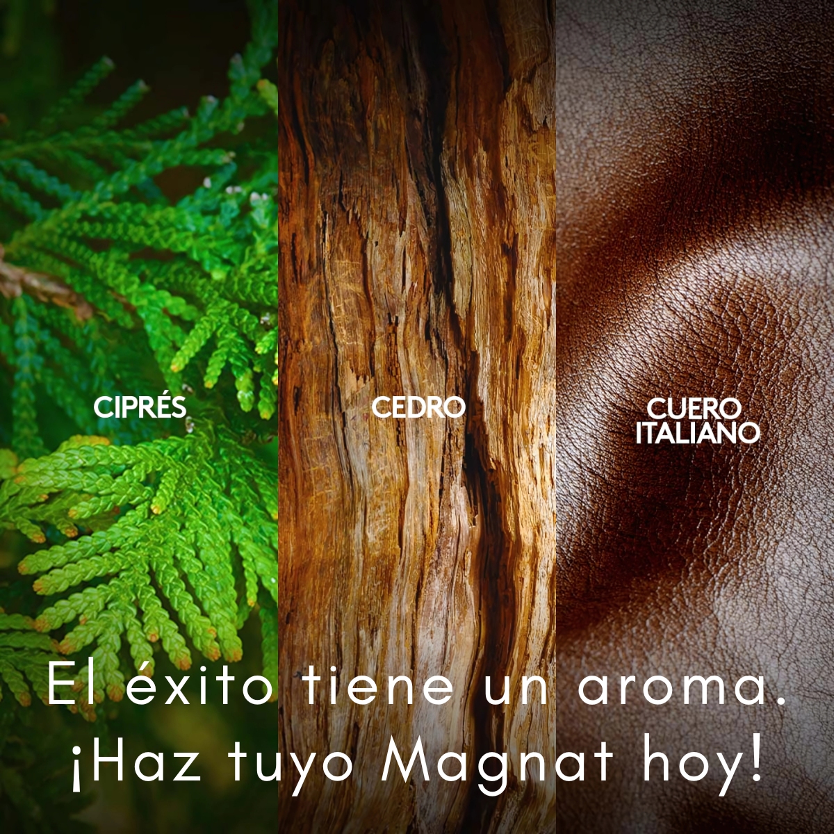 Foto 4 pulgar | Perfume Hombre Magnat Ésika 90 Ml  Fragancia Masculina