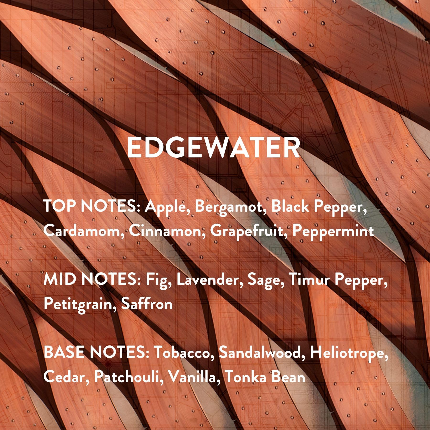 Foto 6 | Perfume Michael Malul Edgewater Eau De Parfum Para Hombre, 100 Ml - Venta Internacional.