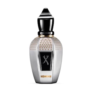 Foto 1 | Perfume Xerjoff Tony Iommi Monkey Special Eau De Parfum, 100 Ml - Venta Internacional.