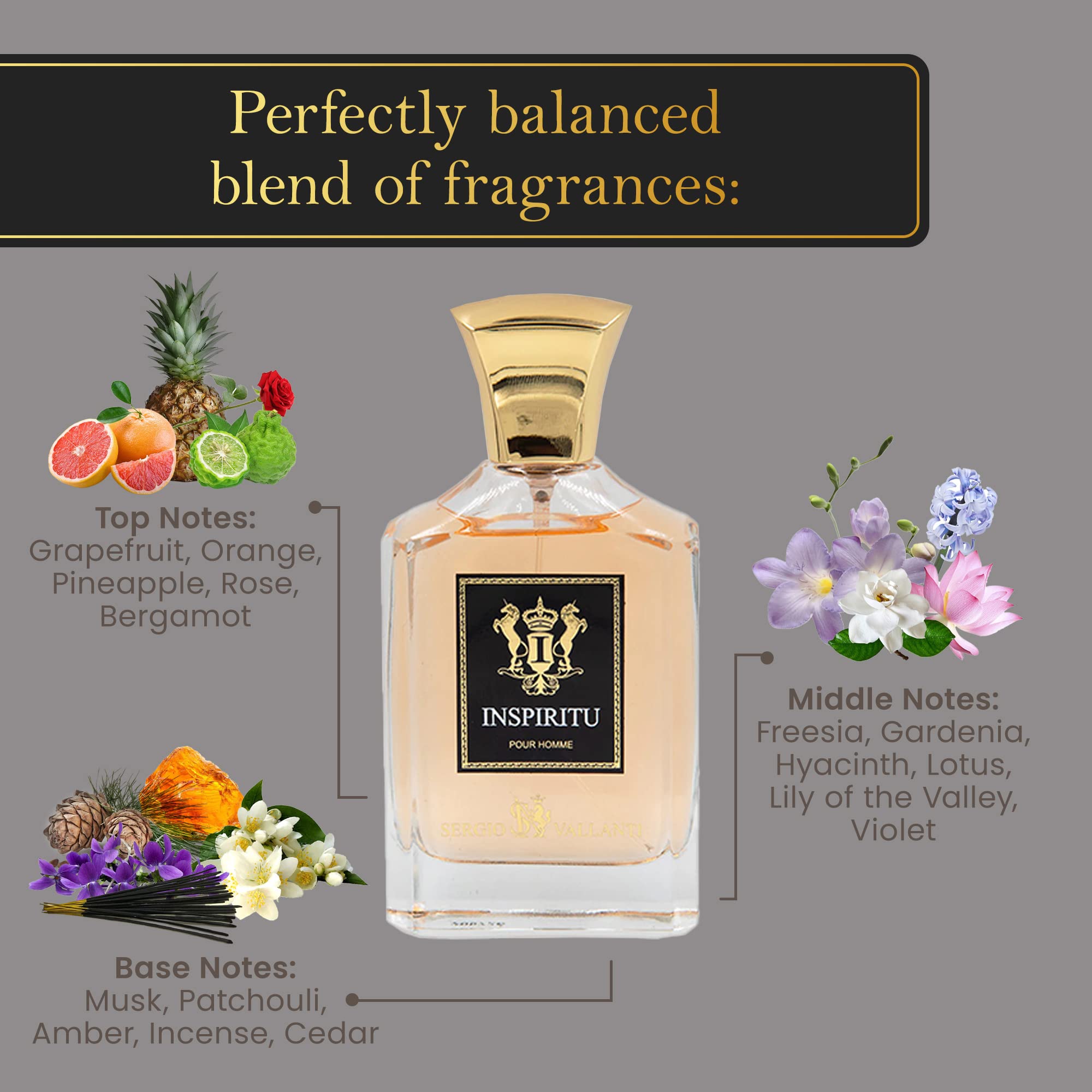 Foto 7 pulgar | Perfume Dumont Inspiritu Pour Homme Luxury 100 Ml Para Hombre - Venta Internacional.