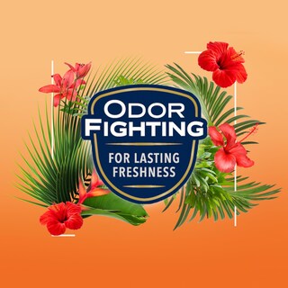 Foto 4 | Recambio Automático En Aerosol Hawaiian Breeze Para Ambientador Glade - Venta Internacional.
