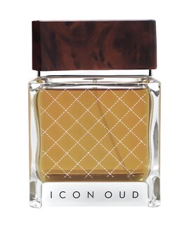 Foto 1 | Perfume Flavia Icon Oud Eau De Parfum Para Hombre 100 Ml - Venta Internacional.