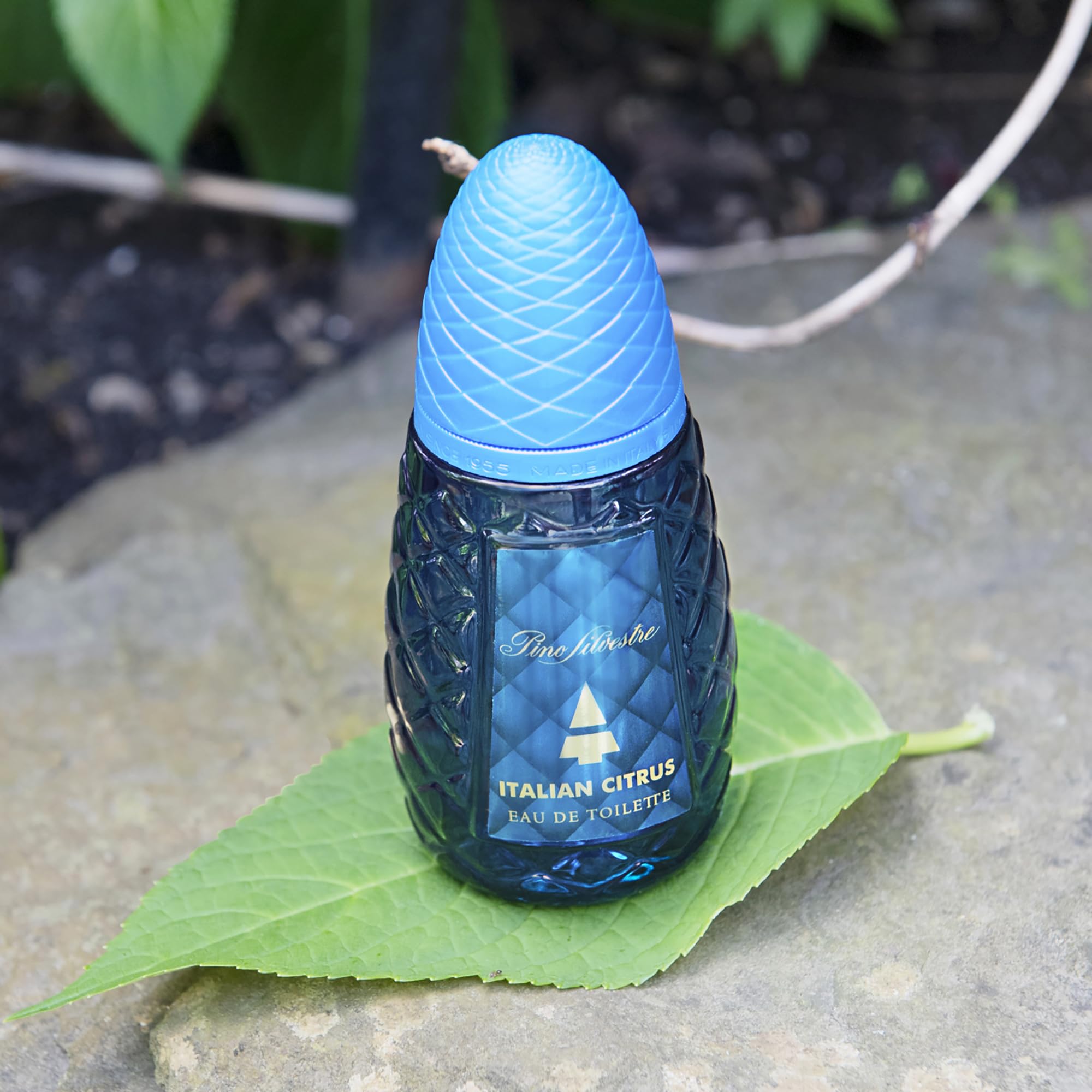 Foto 2 | Colonia Pino Silvestre  Italiana  Cítrica Y Amaderada  75 Ml Edt - Venta Internacional.
