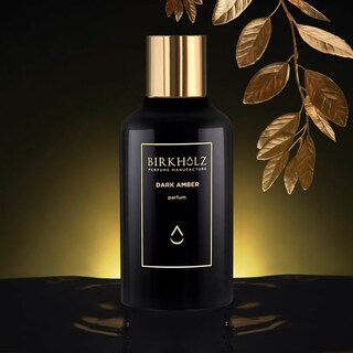 Foto 3 | Perfume Birkholz Ámbar Oscuro 100ml - Venta Internacional.