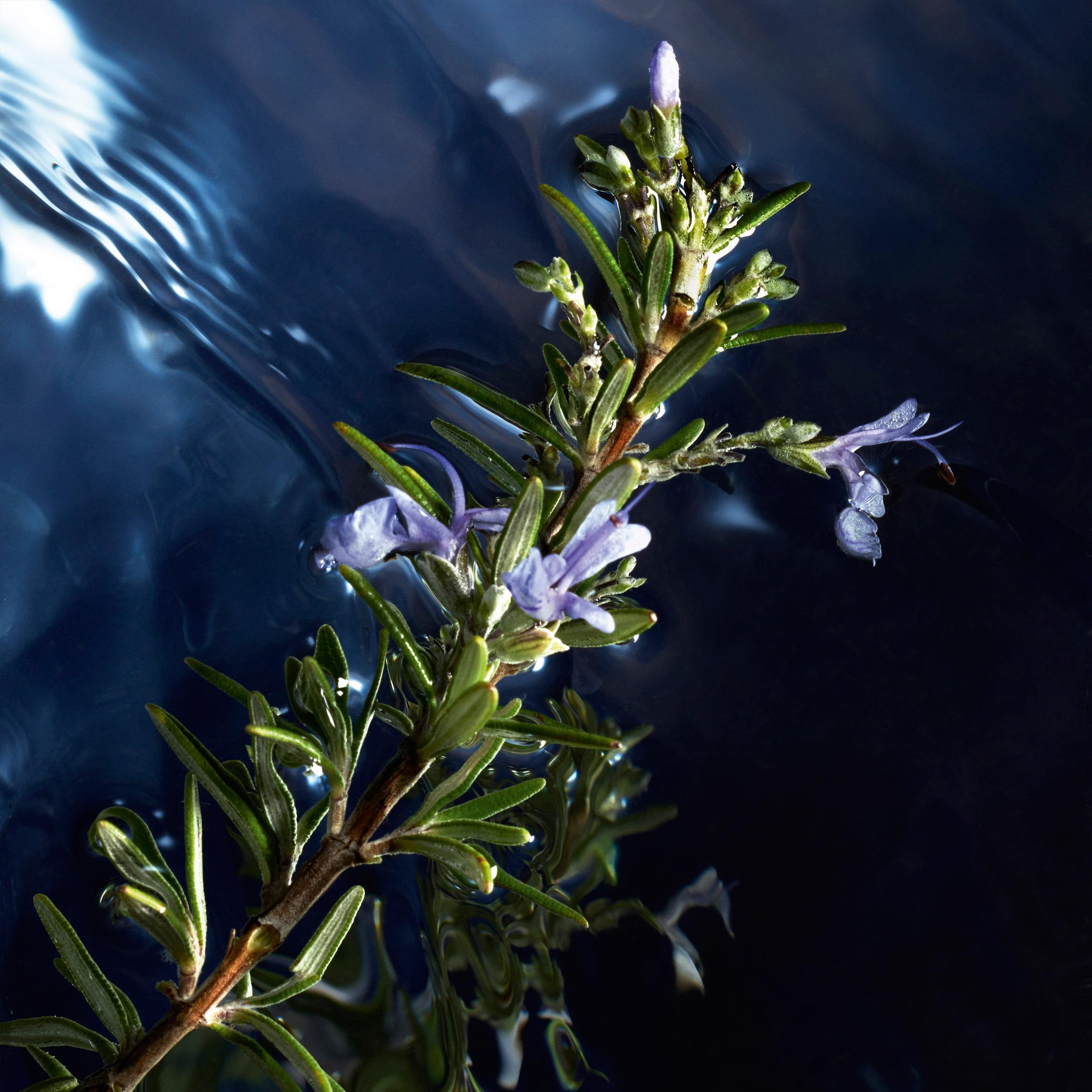 Foto 5 pulgar | Perfume Davidoff Cool Water Reborn Eau De Toilette 125 Ml - Venta Internacional.