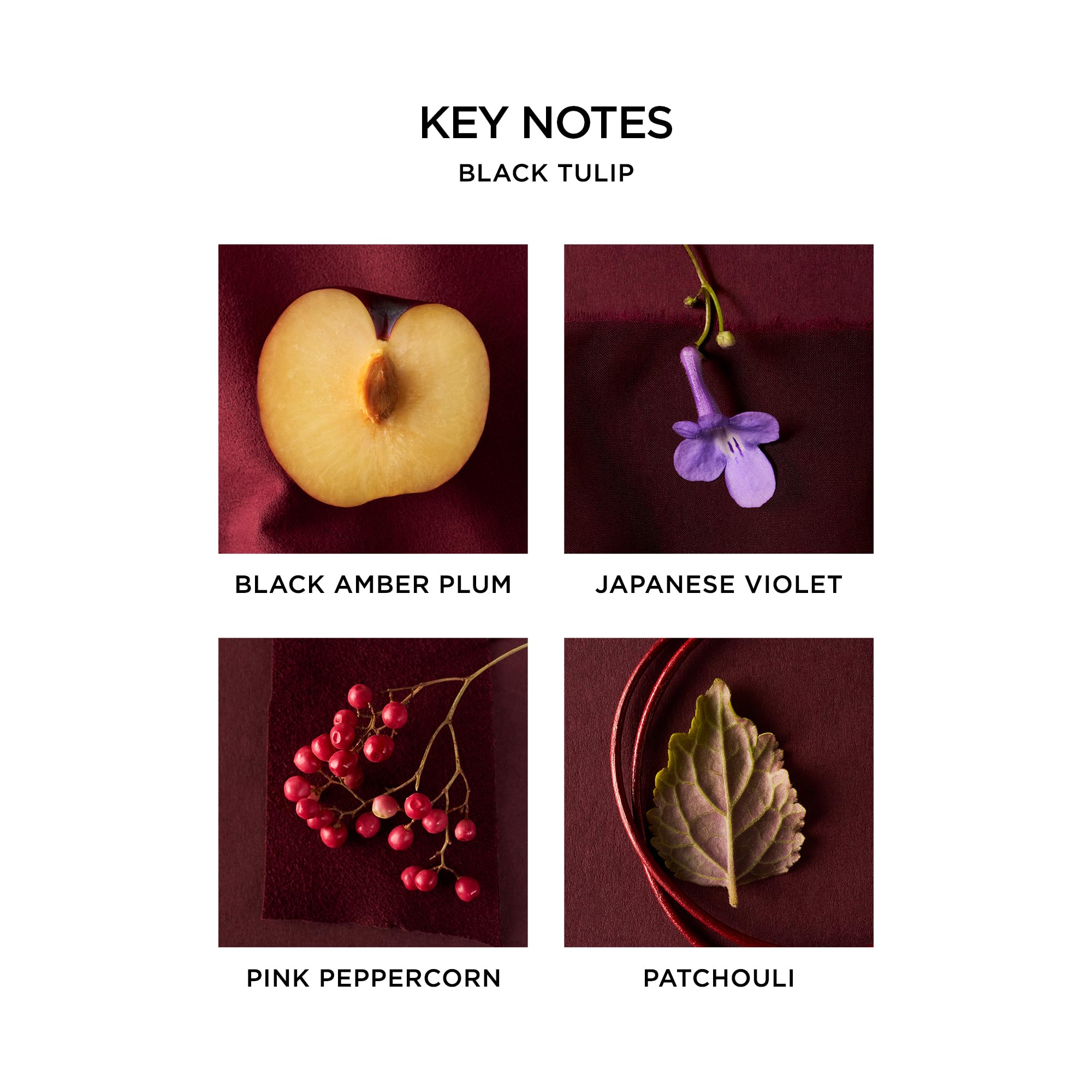 Foto 4 | Perfume Nest New York Black Tulip  50 Ml - Venta Internacional.