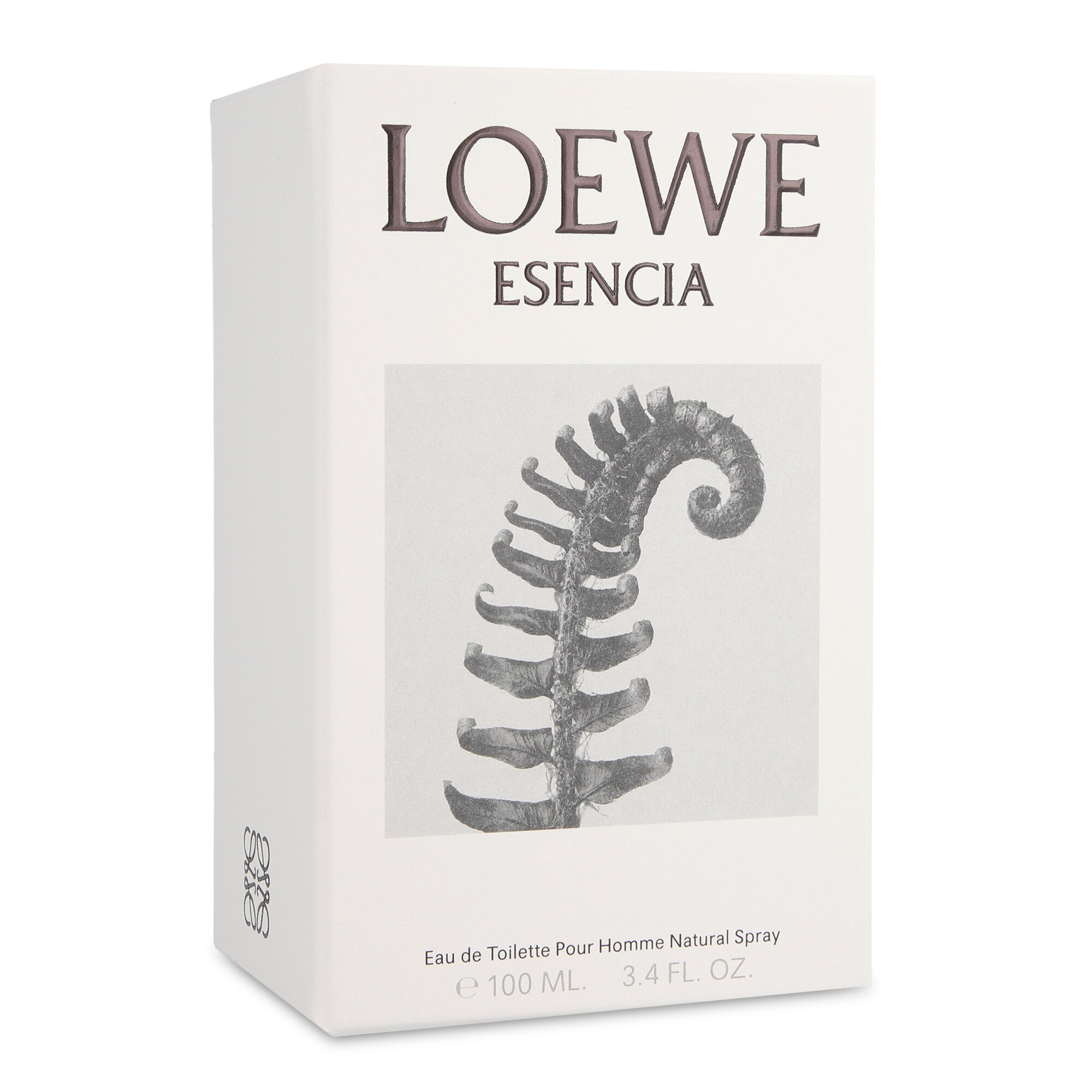 Solo Loewe 200 ml Edt Spray Coppel