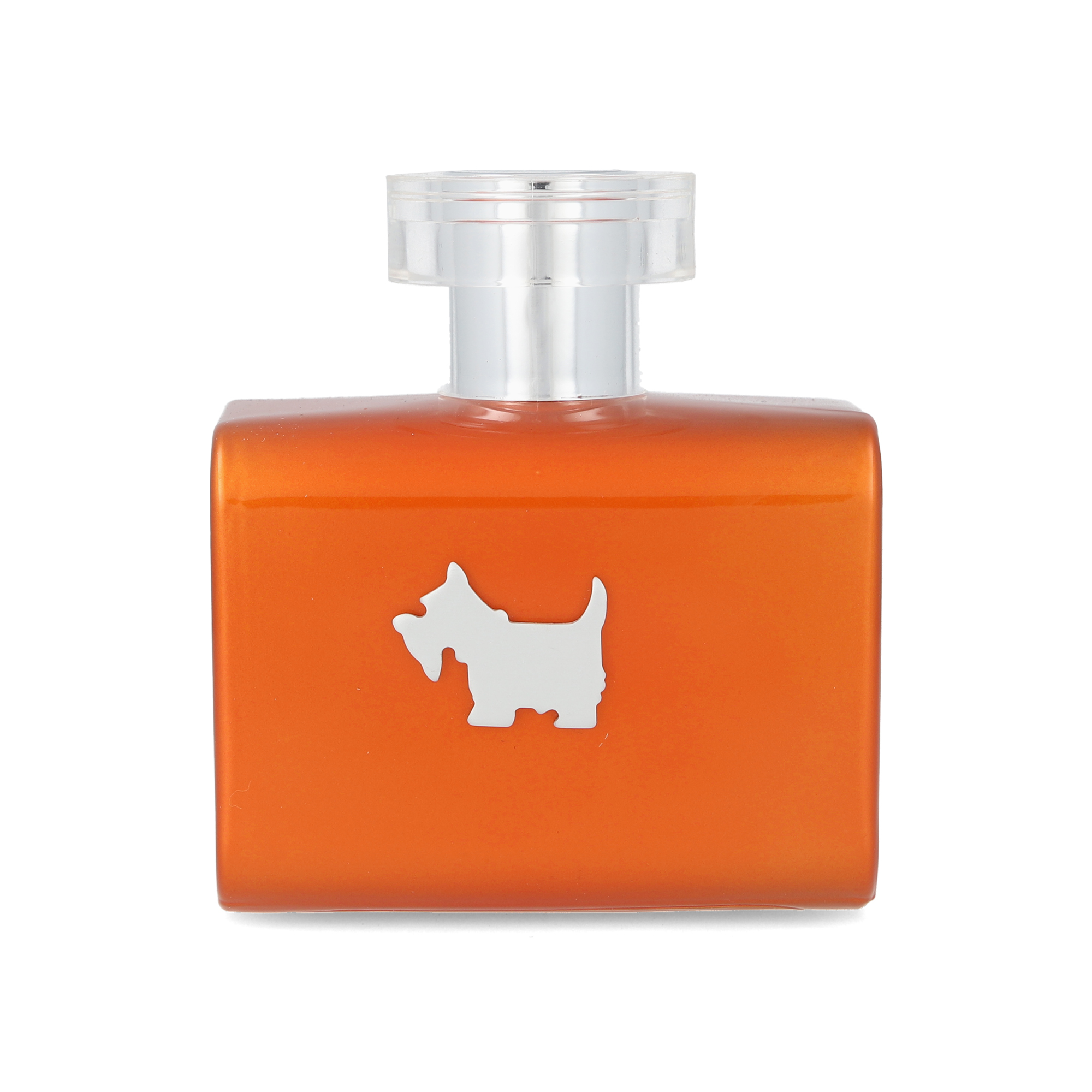Foto 3 pulgar | Perfume Orange Terrier de Ferrioni Eau de Toilette 100 ml para Caballero