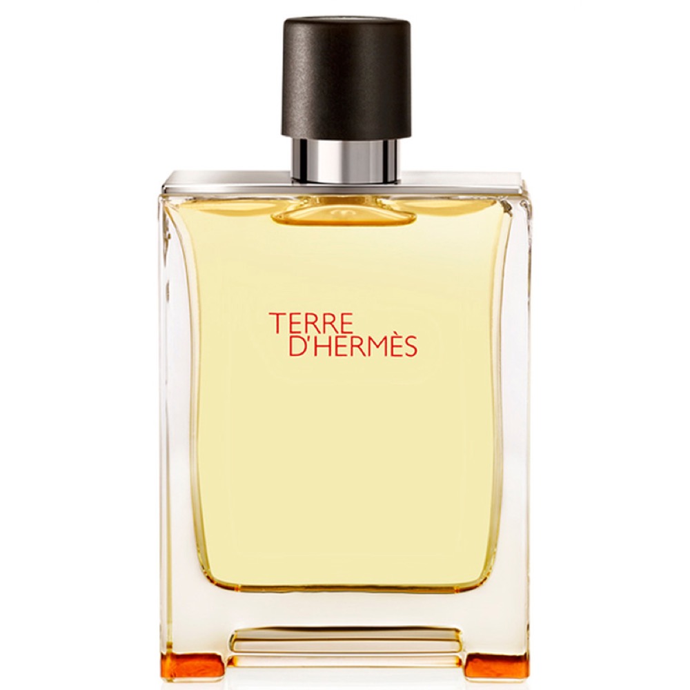 Foto 1 | Perfume Hermes Terre D'hermes de 100 ml para Hombre