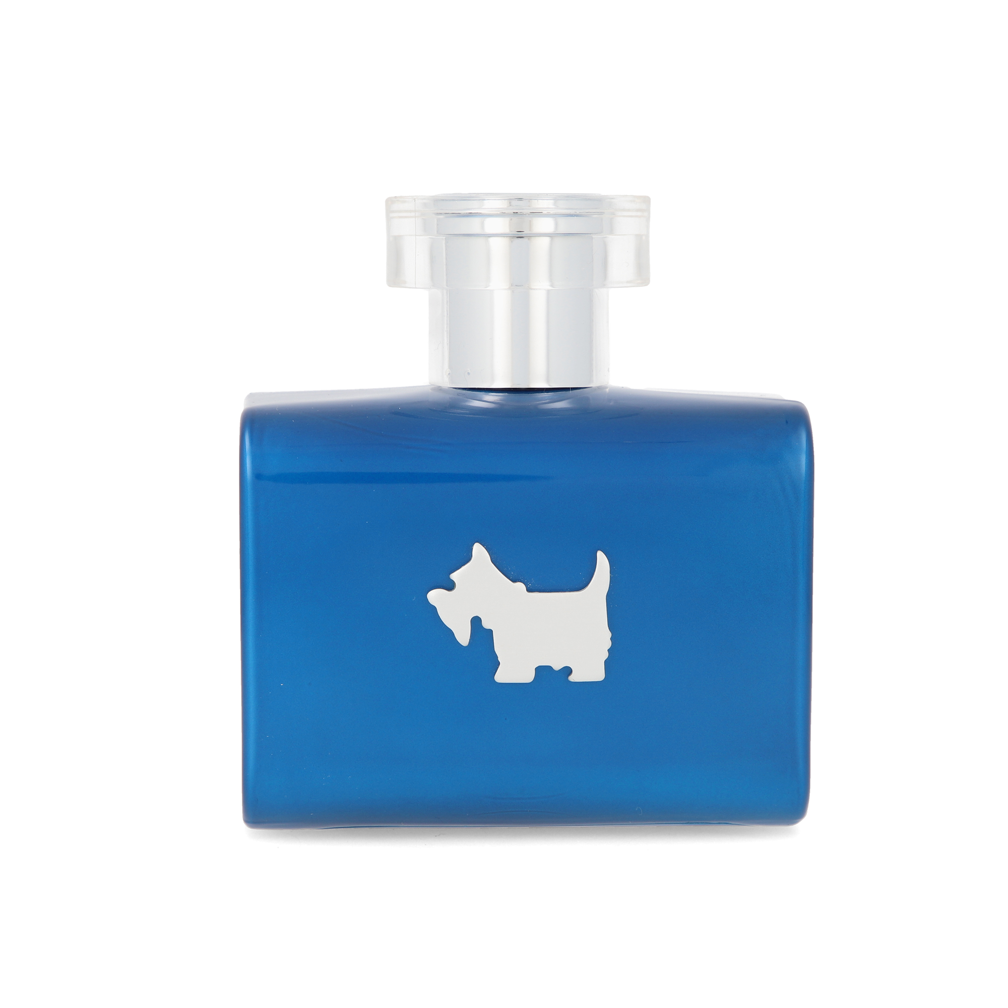 Foto 3 pulgar | Perfume Ferrioni Blue Terrier de 100 ml Edt Spray para Hombre