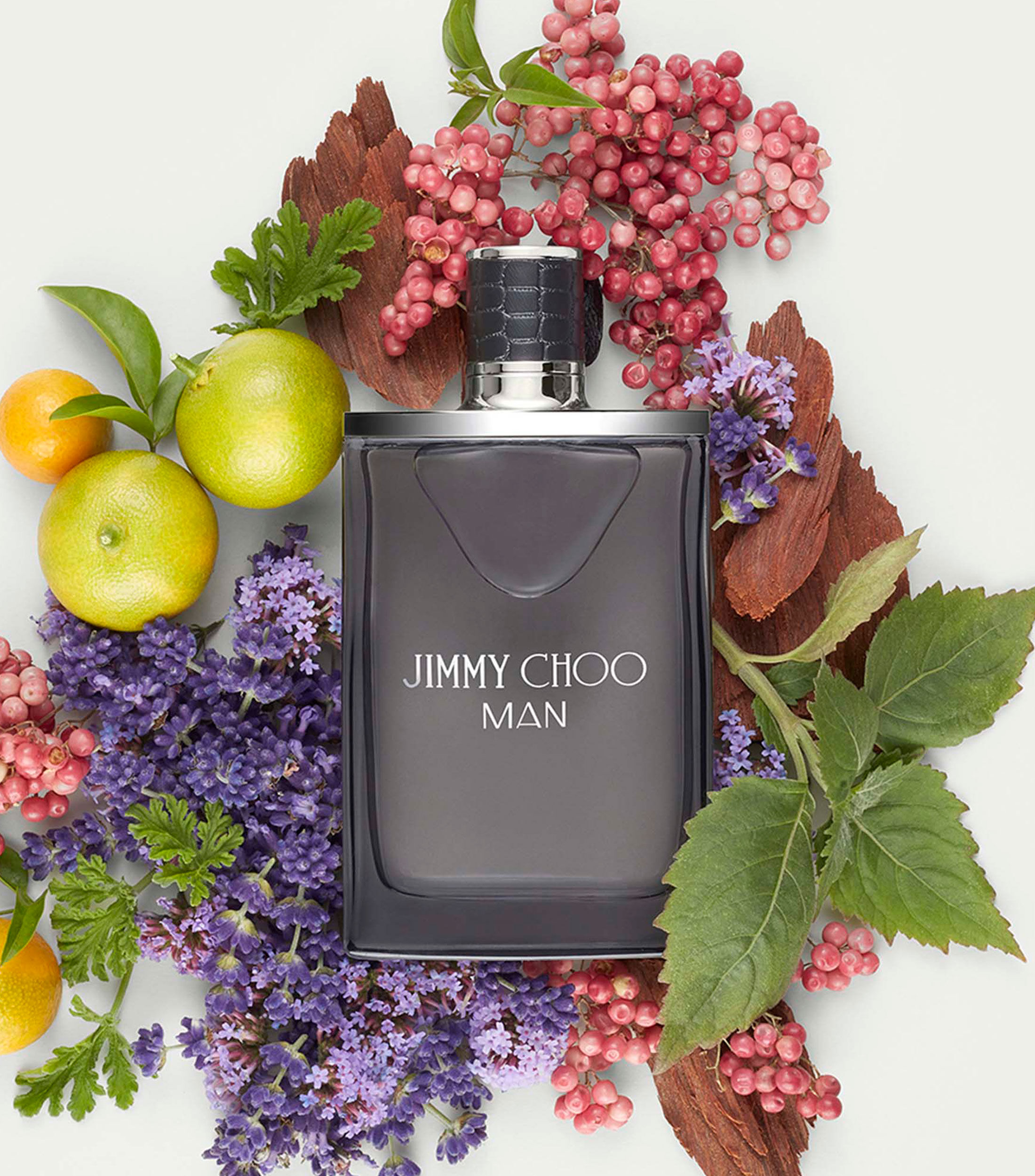Foto 6 pulgar | Perfume Jimmy Choo Man 100 ml Edt Spray para Hombre