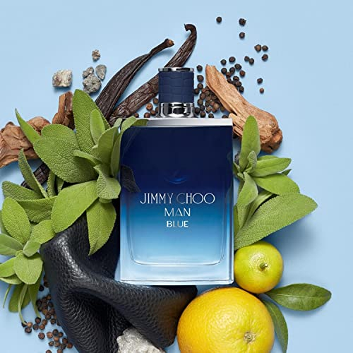 Foto 6 pulgar | Perfume Jimmy Choo Blue Eau de Toilette 100 Ml para Hombre-Venta Internacional