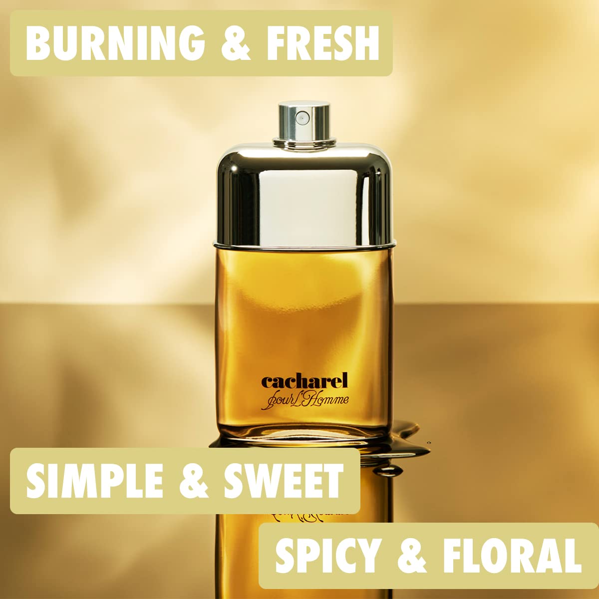 Foto 3 pulgar | Perfume Cacharel Pour Homme Edt 100 Ml Para Hombre - Venta Internacional.