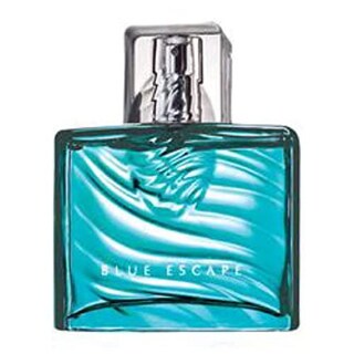 Foto 2 | Perfume Avon Blue Escape For Him Eau De Toilette 75 Ml - Venta Internacional.