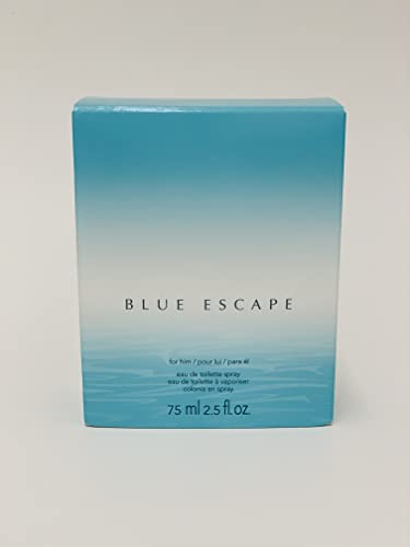 Foto 3 | Perfume Avon Blue Escape For Him Eau De Toilette 75 Ml - Venta Internacional.