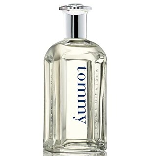 Foto 1 | Perfume Tommy Hilfiger Eau de Toilette 50 Ml para Hombre-Venta Internacional