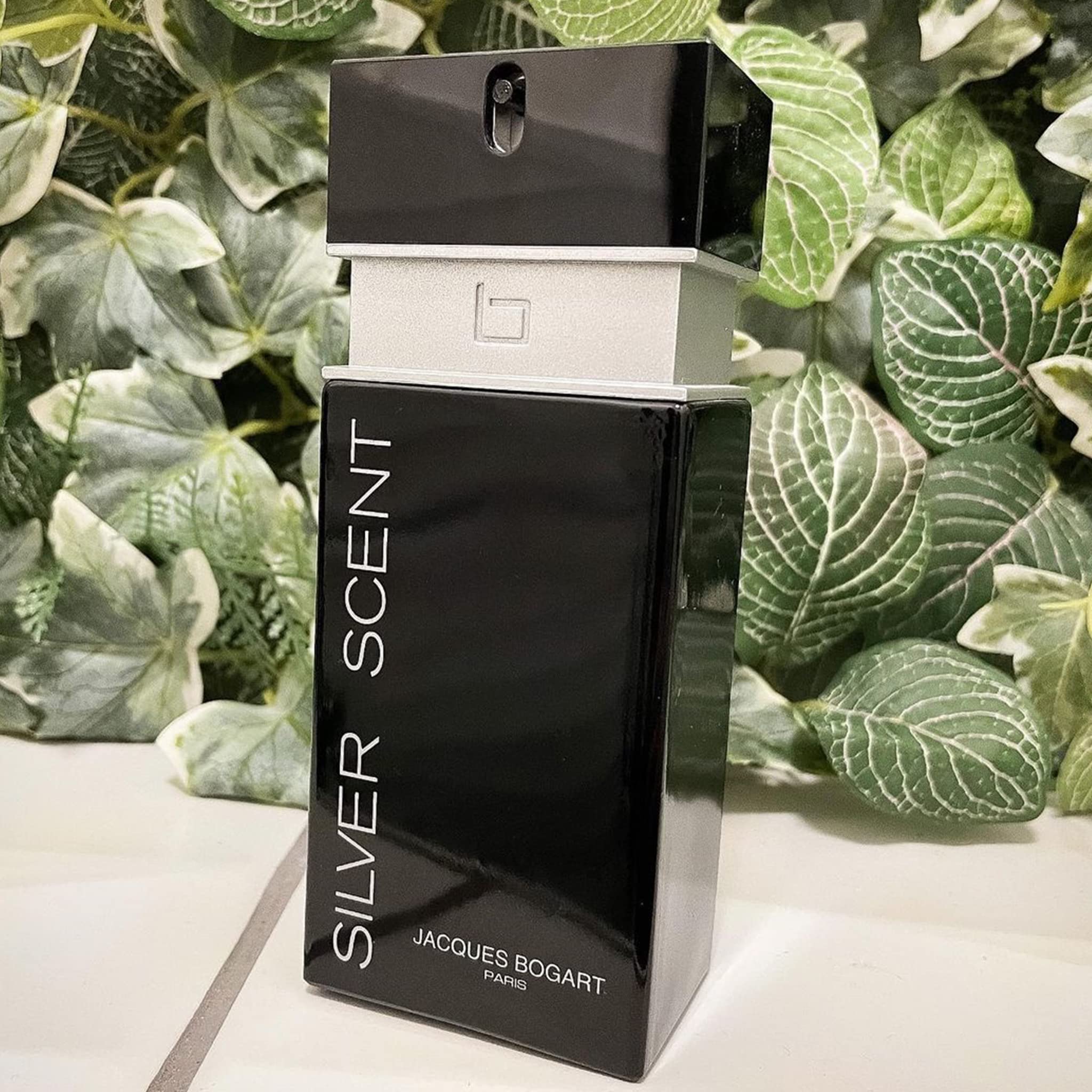Foto 3 pulgar | Perfume Jacques Bogart Silver Scent Edt 100 Ml Para Hombre - Venta Internacional.