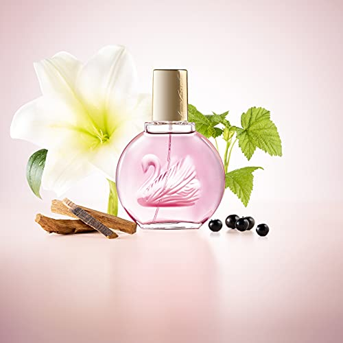 Foto 5 pulgar | Perfume Gloria Vanderbilt Minuit À New York Eau De Parfum 10 - Venta Internacional.