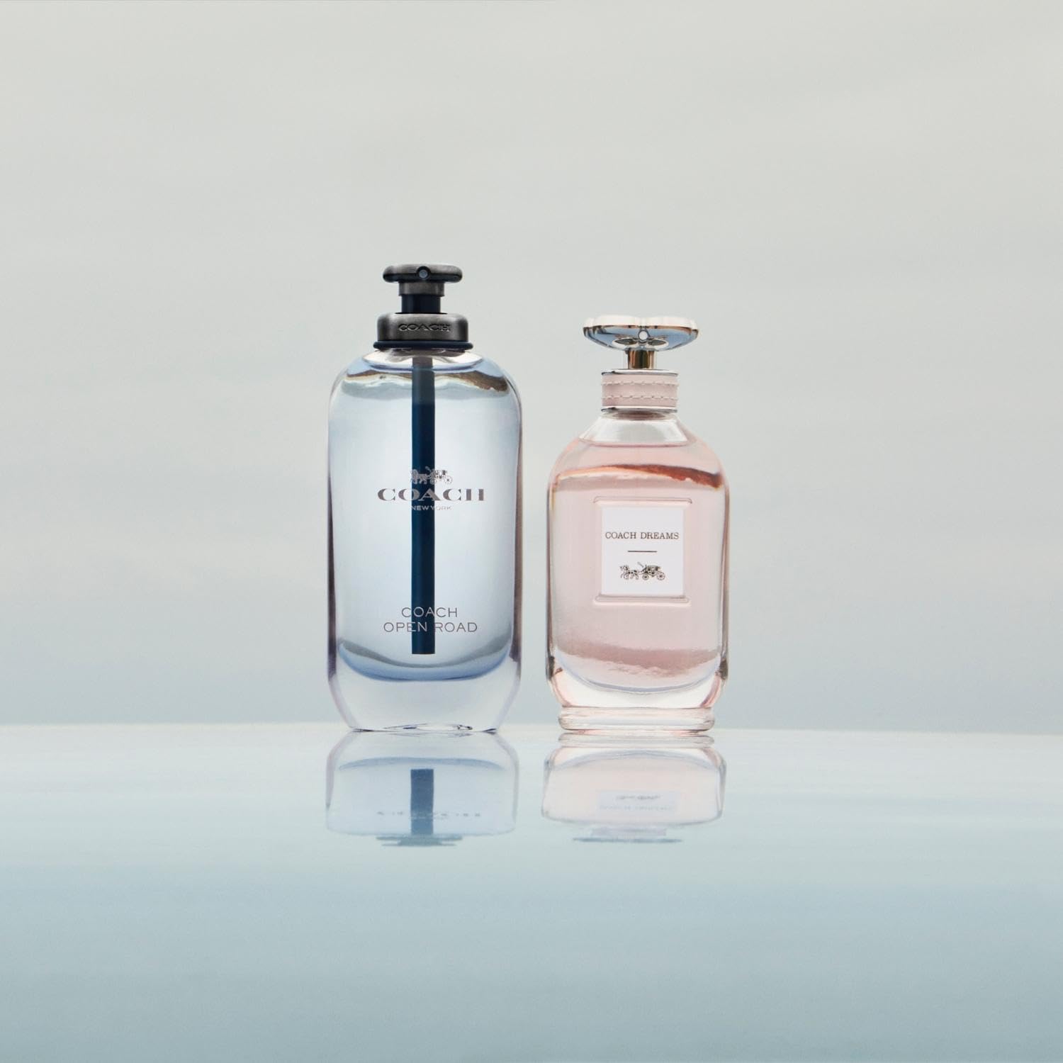 Foto 6 pulgar | Perfume Coach Open Road Edt en Spray para Mujer 60 ml - Venta Internacional