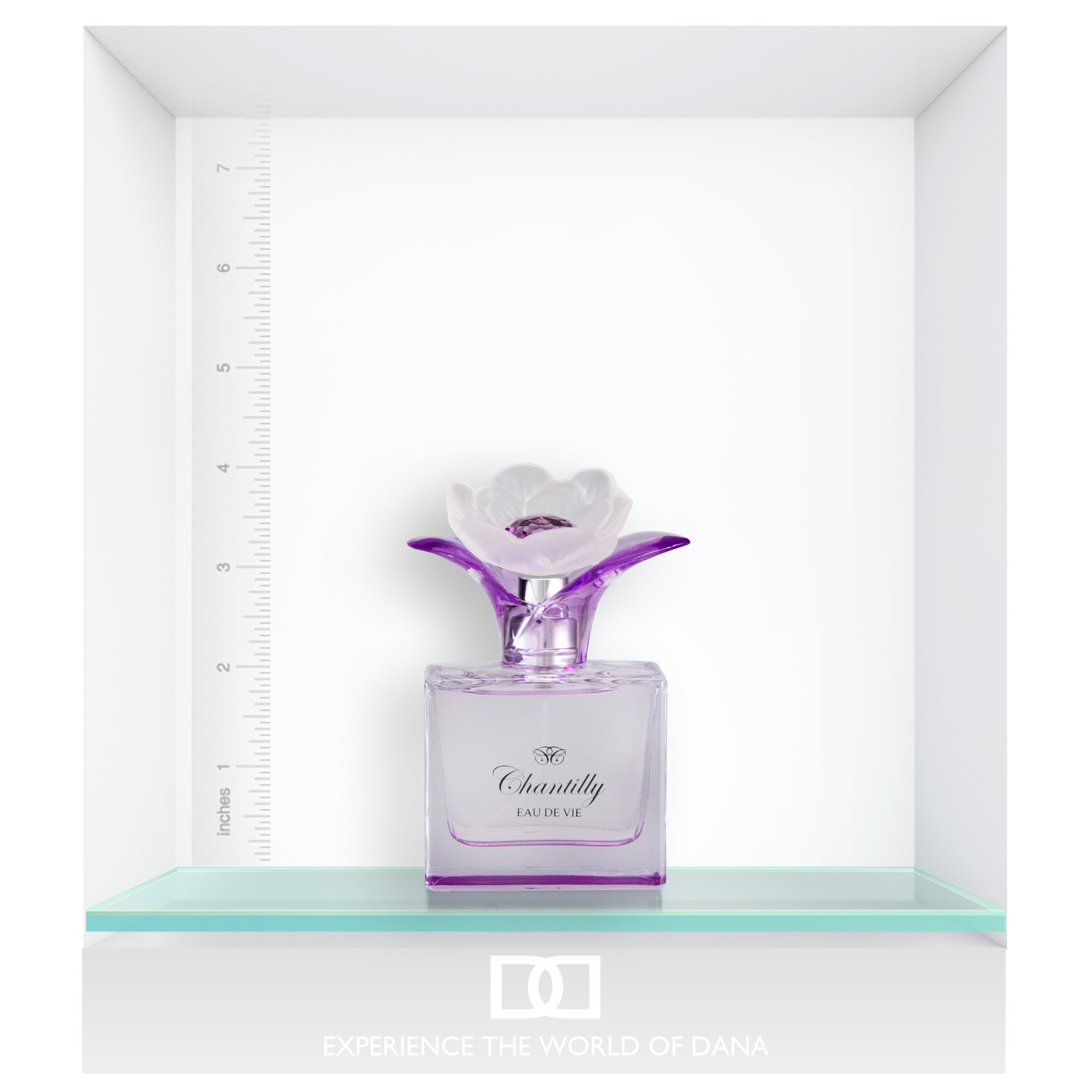 Foto 5 pulgar | Perfume Dana Chantilly Eau de Vie para Mujer-Venta Internacional