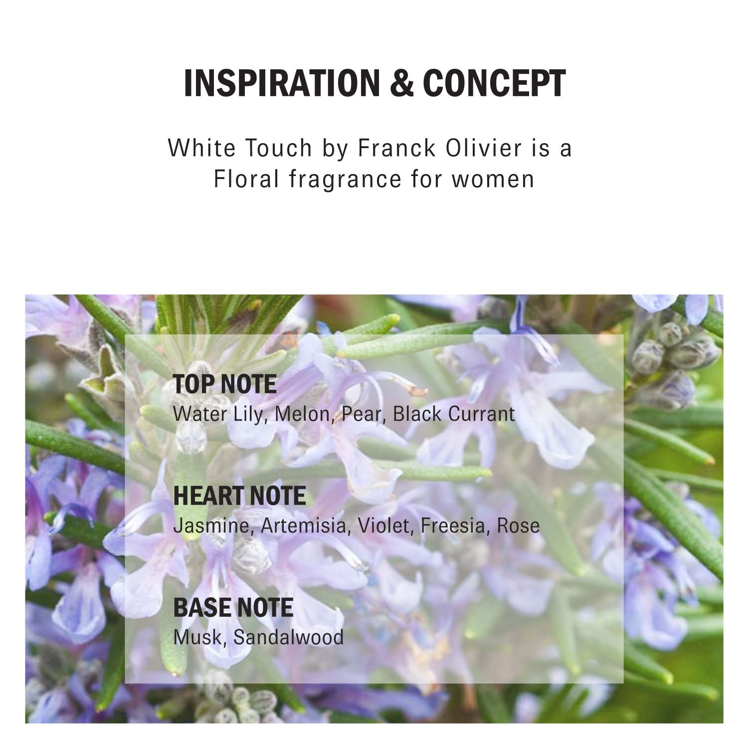 Foto 6 pulgar | Perfume Franck Olivier White Touch Eau De Parfum 100 ml para Mujeres - Venta Internacional