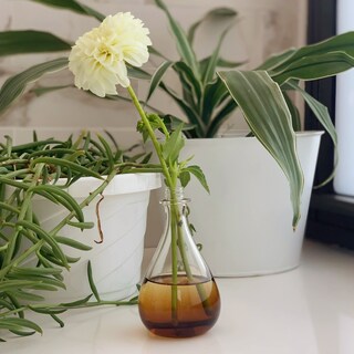 Foto 6 | Bruma Aromática Essentials Just Breathe Scent Beauty, 60 Ml - Venta Internacional.