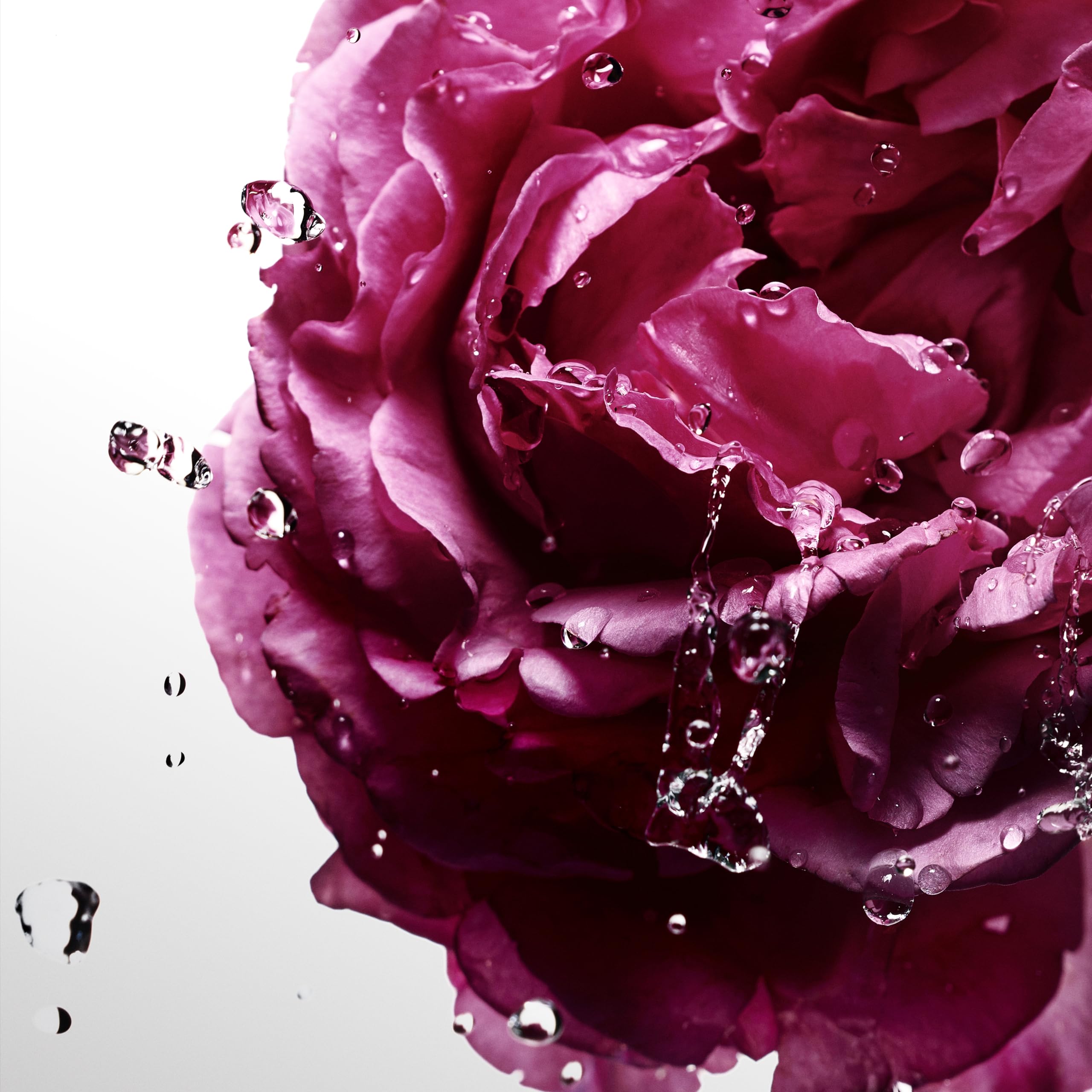Foto 6 pulgar | Perfume Davidoff Cool Water Sea Rose Edt 100 Ml Para Mujer - Venta Internacional.