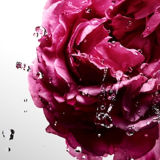 Foto 5 | Perfume Davidoff Cool Water Sea Rose Edt 100 Ml Para Mujer - Venta Internacional.